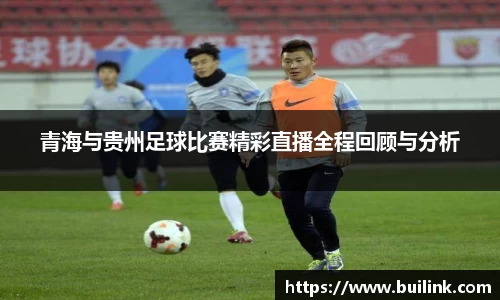 青海与贵州足球比赛精彩直播全程回顾与分析